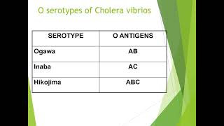 Vibrio Cholerae [upl. by Annohs]