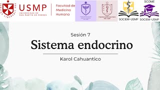 HISTOLOGÍA  SESIÓN 7  SISTEMA ENDOCRINO  Karol Cahuantico  2024 II [upl. by Adrea]