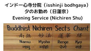 【朝勤 Morning Service Nichiren Shu】95回 法華経Lotus Sutra 一心寺分院Isshinji Temple in Bodhgaya 14102024】 [upl. by Gannie]