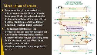 TRIAMTERENE  Mechanism  Uses  SAR  Properties  Formulations [upl. by Cha]