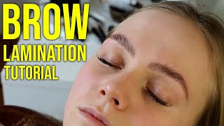 HD Brow Lamination Step By Step Tutorial Big Brows [upl. by Notnil304]