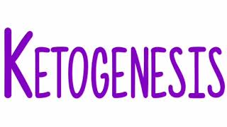 Ketogenesis  Definition Examples of ketone bodies amp classificationSite of synthesis amp Pathway [upl. by Nya994]