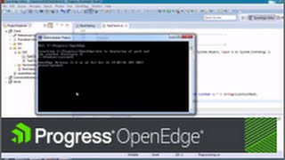 OpenEdge Debugging ABL Code [upl. by Swenson]