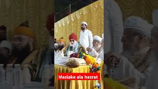 Maslak e ala hazrat Maulana Sayyed Kausar Rabbanibayan live [upl. by Anavi]