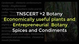 13Botany  Economically useful plants and entrepreneurial botany  Spices and Condiments [upl. by Ordnasil]