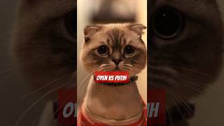 Short meow trending cat cat catlover kucingoyen ytshorts kittypets viralshort [upl. by Assylla]