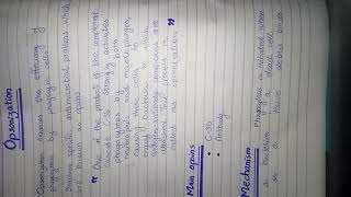 Opsonization opsinsphagocytosis [upl. by Piotr]