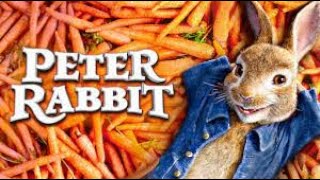 Peter Rabbit Full Movie Fact in Hindi  Hollywood Movie Story  Domhnall Gleeson [upl. by Gerrilee]