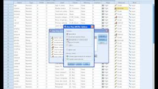 SPSS Tutorials Anova Test [upl. by Ankney882]