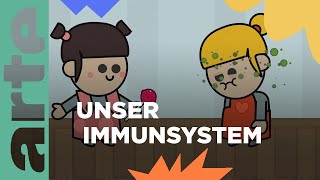 Wie funktioniert unser Immunsystem  Eure Fragen  ARTE Family [upl. by Pelletier]