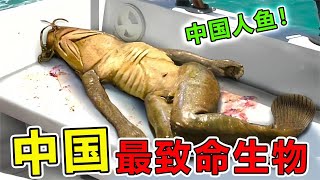 中国“最致命”的10大生物，入侵中国12个省份，导致70万人死亡top10 動物世界 地球最top 地球之最 非洲 科普 [upl. by Bridwell]