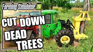 Farming Simulator 25 – Cut Down Dead Trees Contract Deadwood  Im Stumped Trophy [upl. by Ylrebmi87]