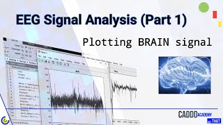 EEG Signal Analysis using MATLAB Part 1  PLOTTING an EEG Signal [upl. by Naols]