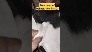 Treatment of Dehydration Part 2 animals Dr Latif Ur Rehman [upl. by Aamsa101]