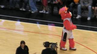 Benny The Bull DANCING [upl. by Mame]