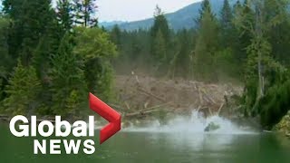 EPIC mudslide caught on camera Raw Video [upl. by Asiret968]