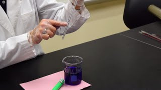 How to Use A Pipette  MCCC Microbiology [upl. by Natsirhc583]