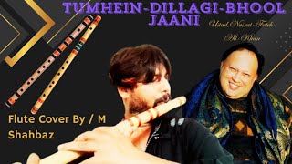 Tumhein Dil Lagi Bhool Jani Paŕe Gi Ustad Nusrat Fateh Ali Khan Qawalli Cover by MSFlute [upl. by Gladine927]