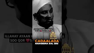 Cadaalada nabigena bal Eega ⁴ᴷ┇Sh xusen cali jabuti islam fyp tag sheekhxusencali foryoupage [upl. by Latoniah584]