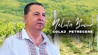 Neluta Bucur  Colaj BEST OF Cele Mai Bune Melodii de Petrecere  Colaj Neluta Bucur 2024 [upl. by Anneis]