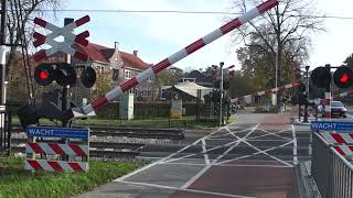 Spoorwegovergang Wezep  Dutch Railroad Crossing [upl. by Aeslek]