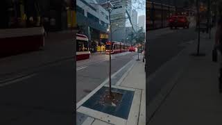 streetcars traffic downtowntoronto [upl. by Sheela864]