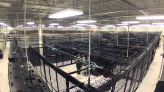 Windstream Data Center Tour [upl. by Judith]