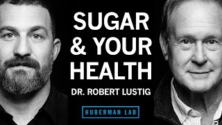 Dr Robert Lustig How Sugar amp Processed Foods Impact Your Health [upl. by Yanrahc]