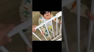 Safeguard Your Home Babelio AllSteel Baby Gate Installation Guide amp Pet Safety Tips [upl. by Marmaduke6]