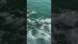 Amazing water sounds shorts watersounds [upl. by Revilo507]