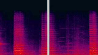 Iannis Xenakis  Metastasis Spectral View [upl. by Rohn139]