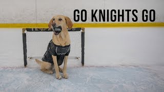 GO KNIGHTS GO Vegas King Benny Style [upl. by Levania902]