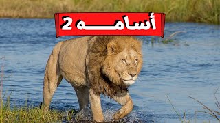 الاسد المرعب اسامه  الجزء الاخير 2022 [upl. by Scherle]