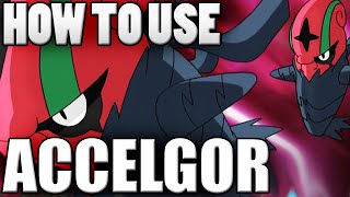 Pokemon ACCELGOR GIMMICK MASTER Accelgor Moveset  Pokemon Omega Ruby and Alpha Sapphire  X amp Y [upl. by Maible338]