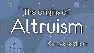 The Origins of Altruism Kin selection [upl. by Baudoin]