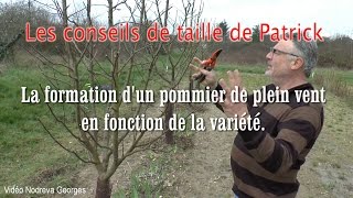 Formation et taille dun pommier de plein vent en fonction de la variété [upl. by Aixela]