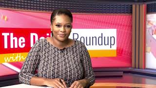 THE DAILY ROUNDUP WITH NINA  Diaspora vote experience  nbc [upl. by Narad851]