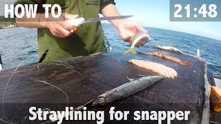 Quick Guide How to Bait Up a WA Pilchard for Fishing Success  StepOutside with Paul Burt [upl. by Meuse]