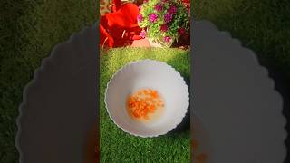 Making roll omelette recipe rolledomeletterecipes shortsvideo viral [upl. by Aisital]