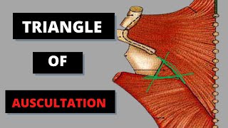 TRIANGLE OF AUSCULTATION I UPPER LIMB ANATOMY [upl. by Padgett]