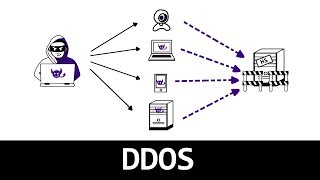 Comprendre lattaque DDOS en 4 minutes [upl. by Opportuna]