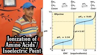 Ionization of Amino Acids and Concept of pI  pK  Isoelectric Point  Dr Nagendra Singh  PENS2 [upl. by Iras]