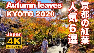 4K 京都の紅葉2020 清水寺 永観堂 東福寺 瑠璃光院 Autumn leaves in Kyoto 比叡山 宝厳院 観光 旅行 秋 ライトアップ 名所 見頃 人気スポット [upl. by Clemen289]