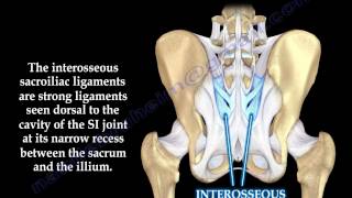 Sacroiliac Joint Dysfunction Anatomy Animation  Everything You Need To Know  Dr Nabil Ebraheim [upl. by Jelsma]