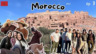 Morocco Vlog Pt1 Exploring Marrakech and Ouarzazate trying Moroccan food and seeing lots of cats [upl. by Euqenimod]