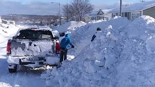 snowmageddon 2020 St Johns Newfoundland and Labrador Canada [upl. by Nythsa]