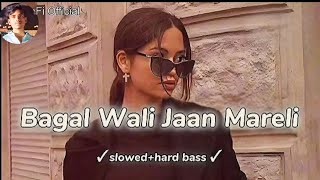 Bagal Wali Jaan Mareli  Slowed amp Reverb  LoFi Remix [upl. by Aehcsrop]