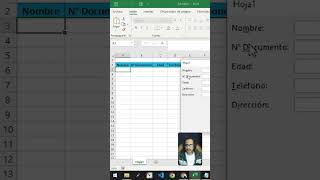 Como hacer un formulario de ingresos de datos en Excel en menos de un minuto [upl. by Flosi]