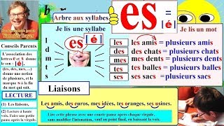 Apprentissage de la lecture Maternelle CP  son é es  er [upl. by Moraj]