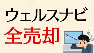 ウェルスナビに3年間積み立て続けた結果w 全売却しました。ロボアドを信用してはいけないし、オススメもできない理由 [upl. by Einama]